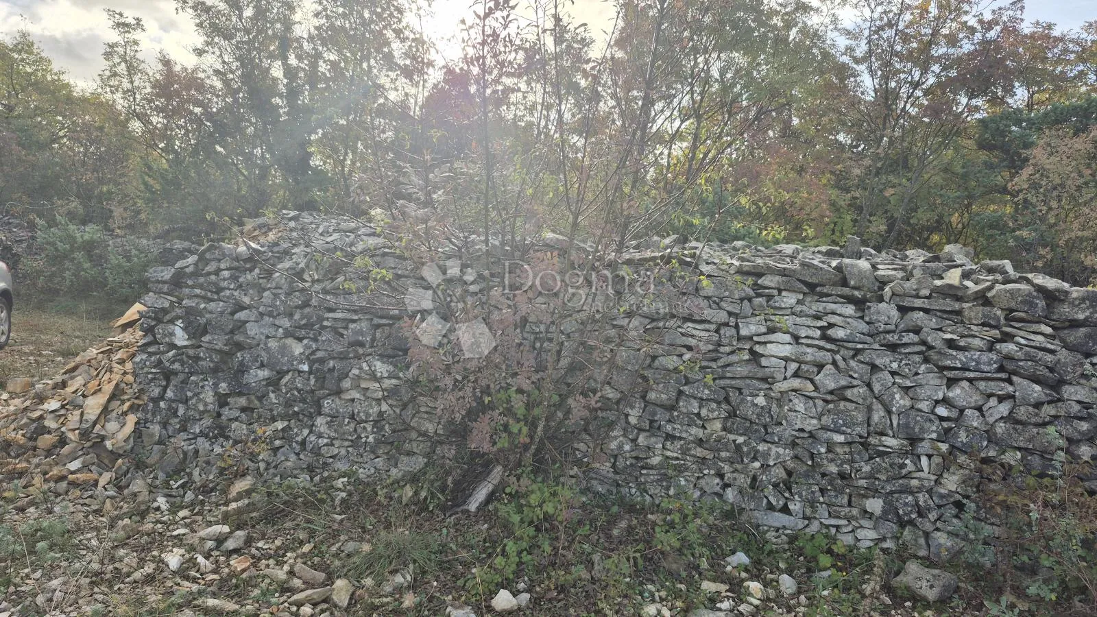 pašnjak ograđen suhozidom, površine 1705 m2 - slika 4