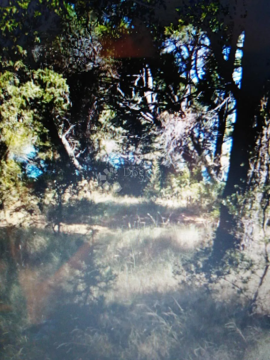 otok brač, splitska, zemljište 500 m2, 100 m od mora - slika 5