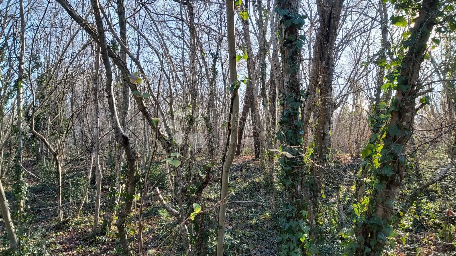 poljoprivredno zemljište uz asfaltiranu cestu - slika 3