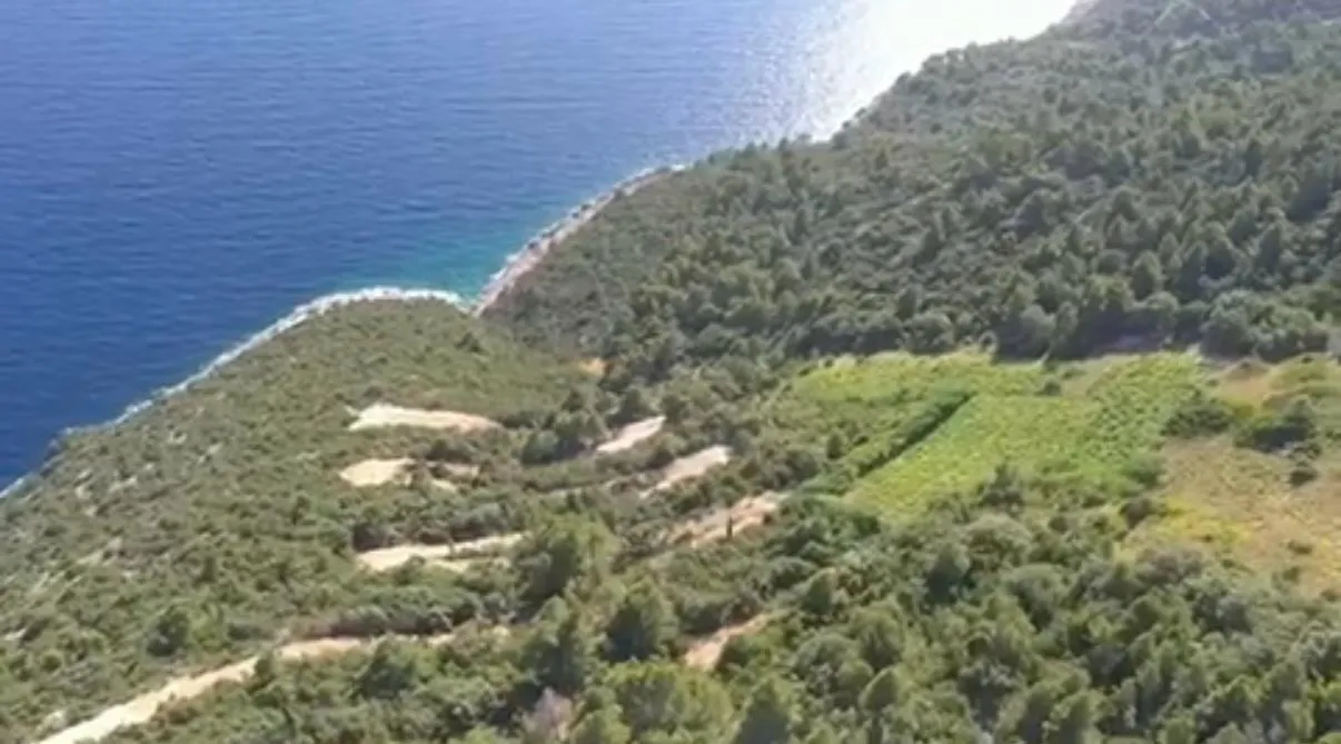 ekskluzivni vinograd dingač – pelješac - slika 4