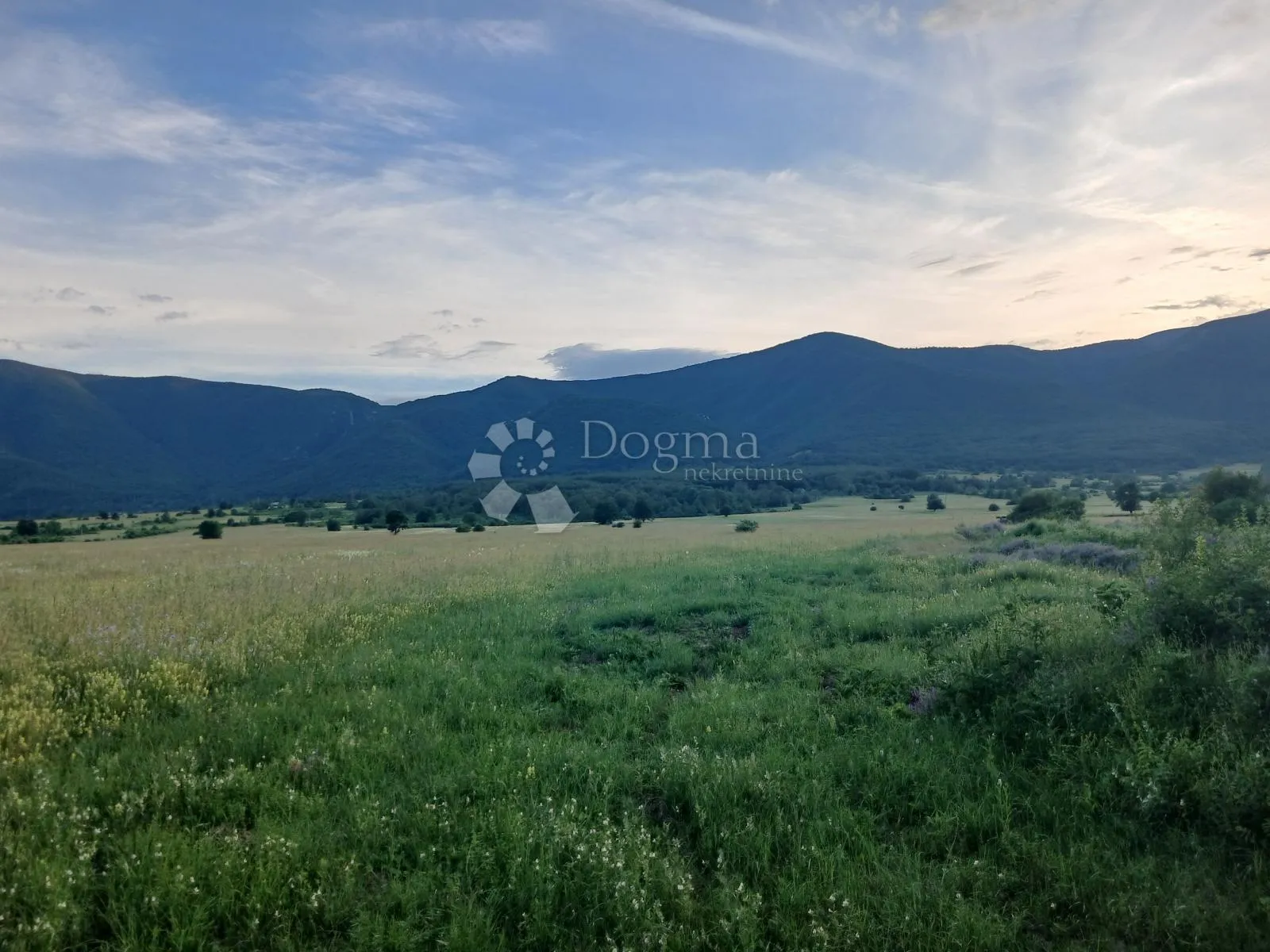 veliki potencijal - slika 3