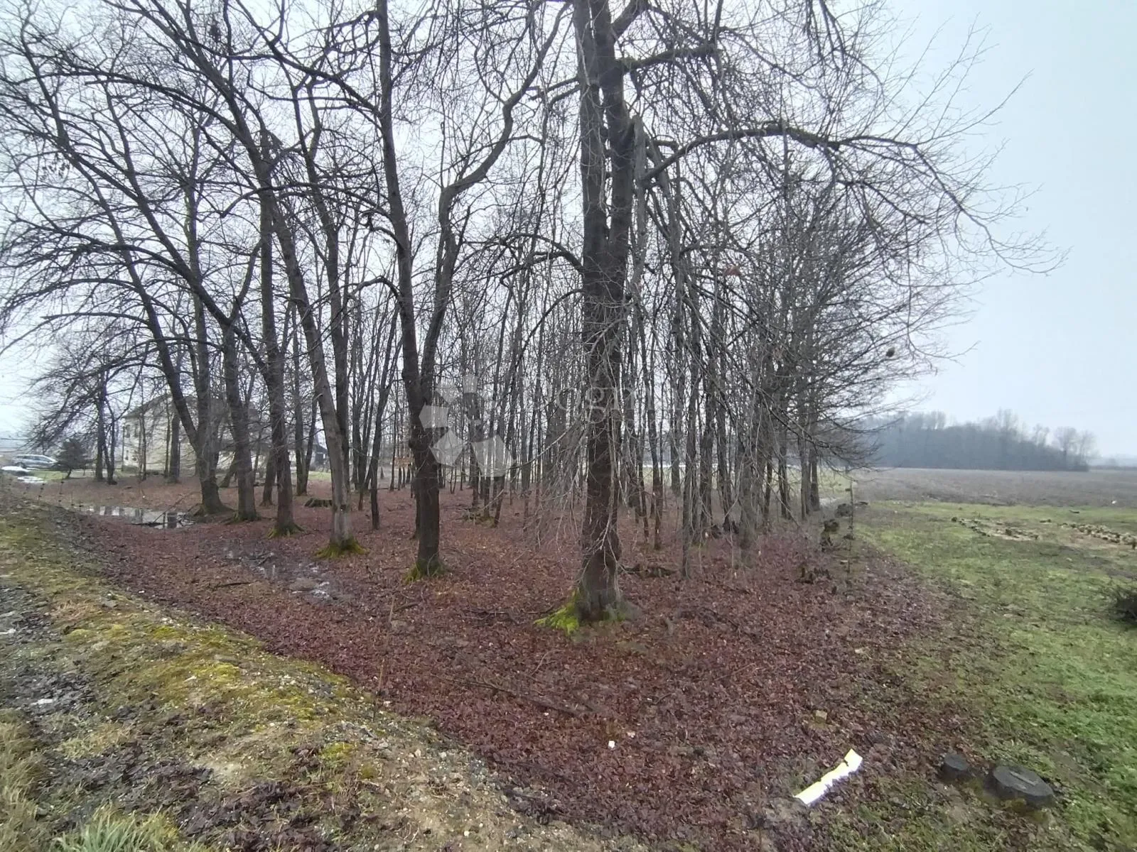 imanje 30.339 m² s građevinskim zemljištem–blizina kloštar ivanića - slika 15