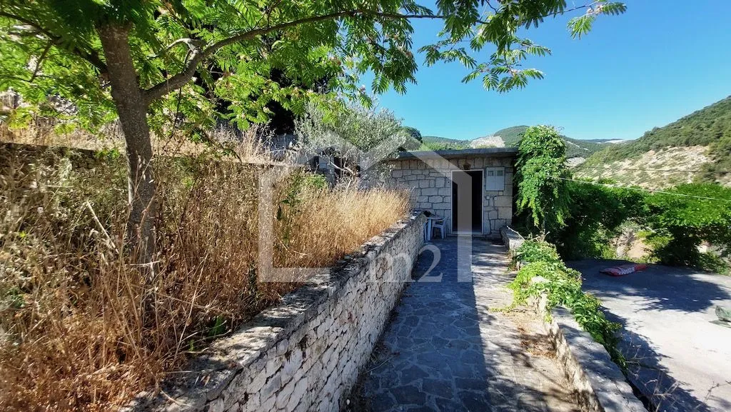 maslinik, dol strmina , brač - slika 3