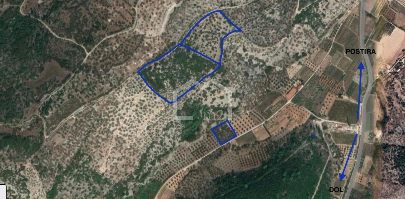 maslinik, dol strmina , brač - slika 2