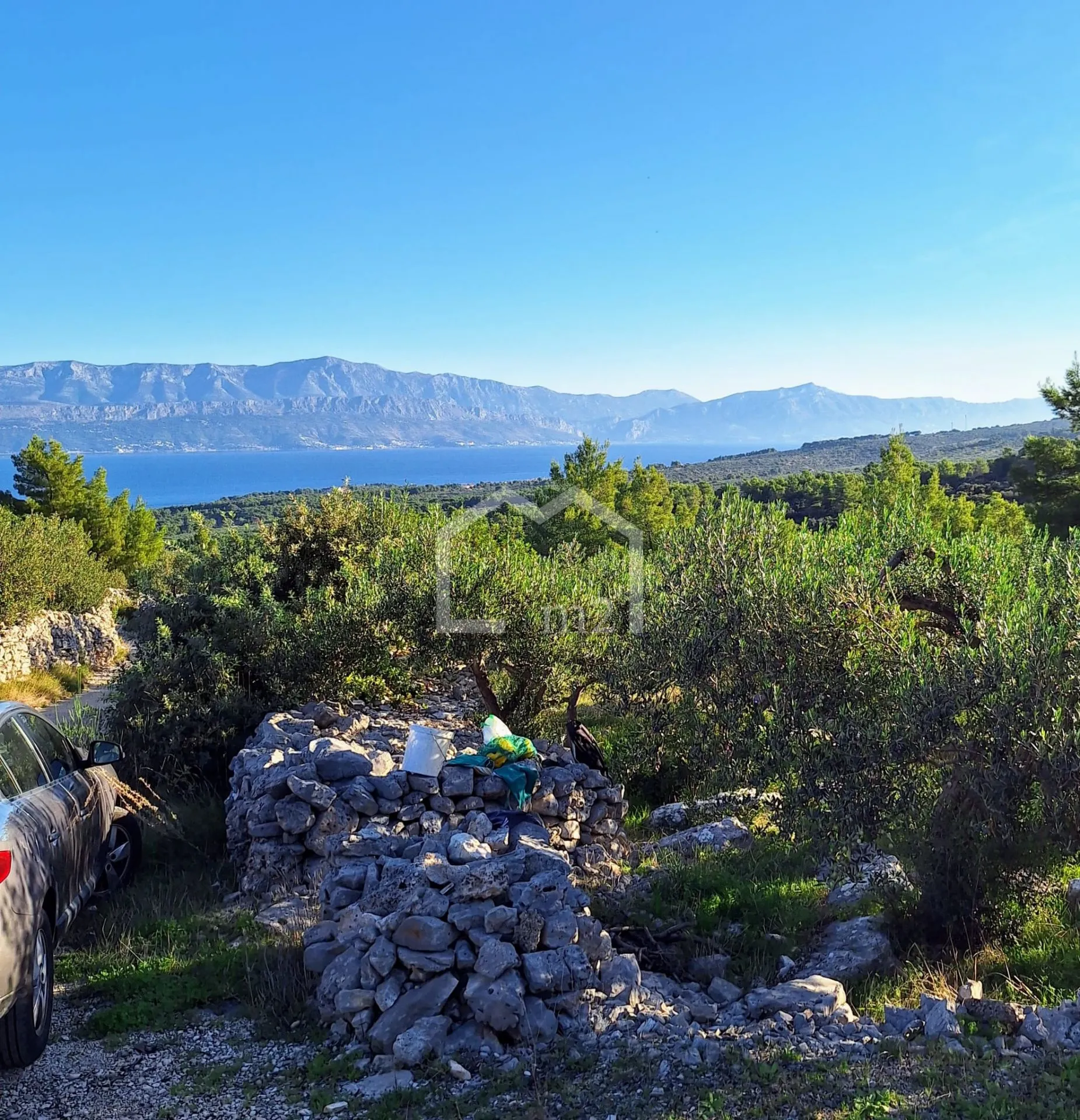 maslinik, mirca,brač - slika 8
