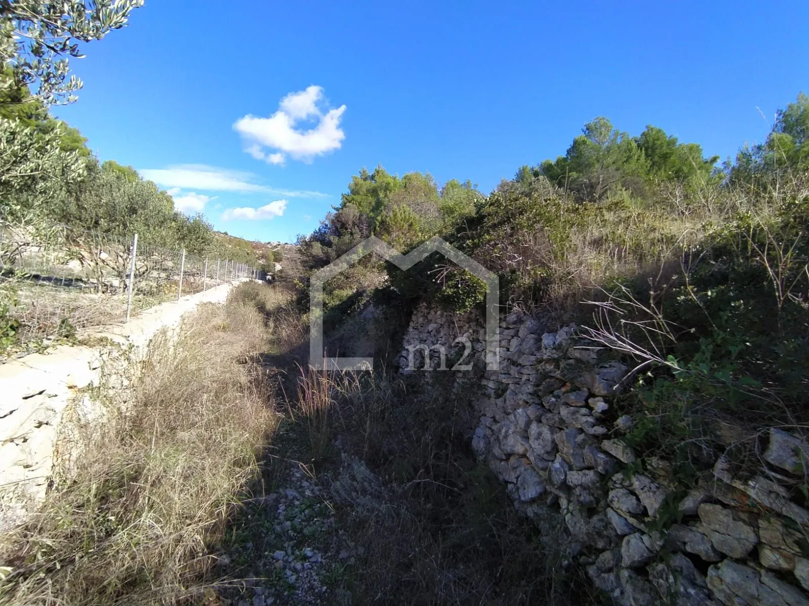 brač,milna-građevinsko/poljoprivredno - slika 2