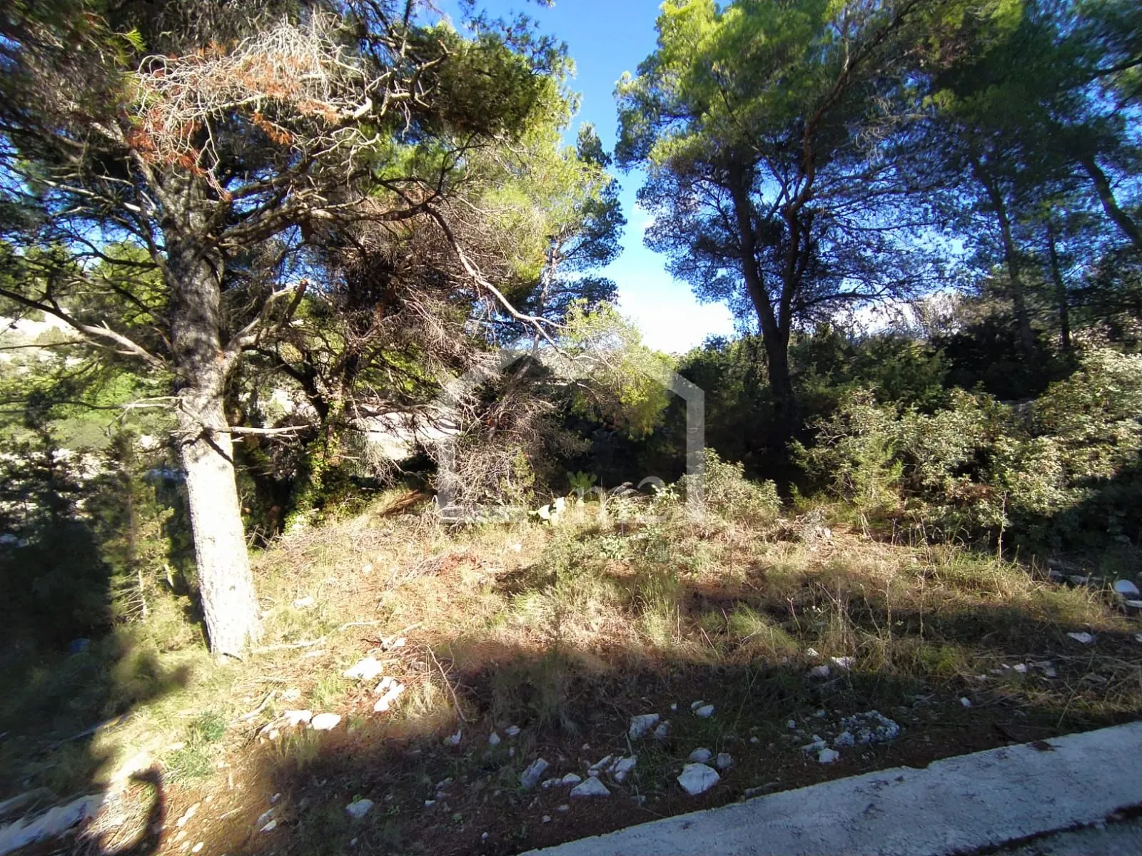 brač,milna-građevinsko/poljoprivredno - slika 6