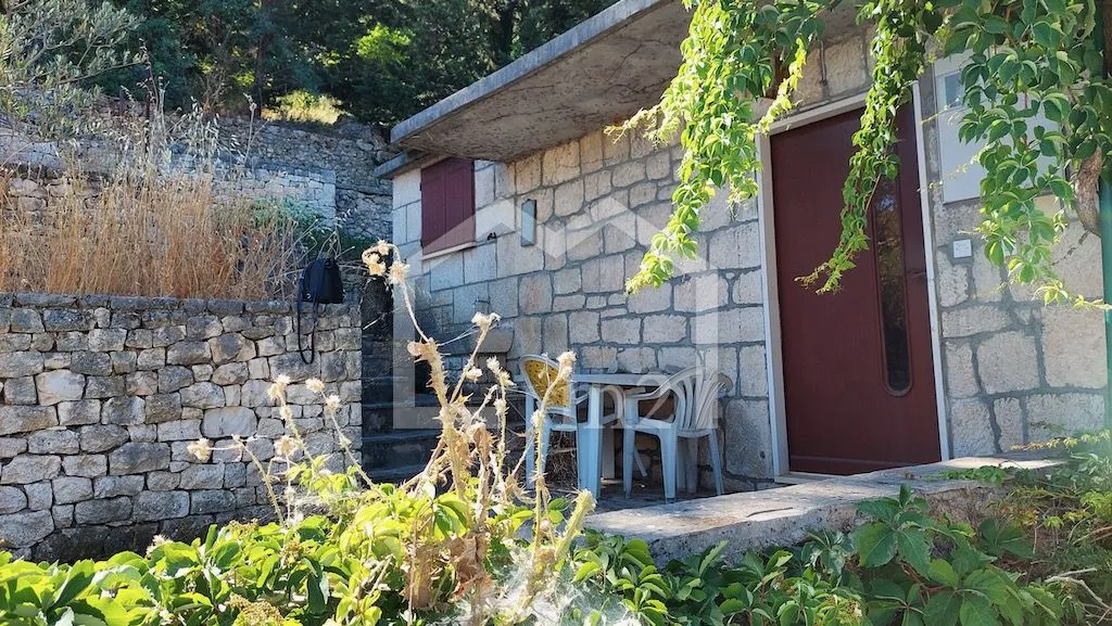 maslinik, dol, brač - slika 8
