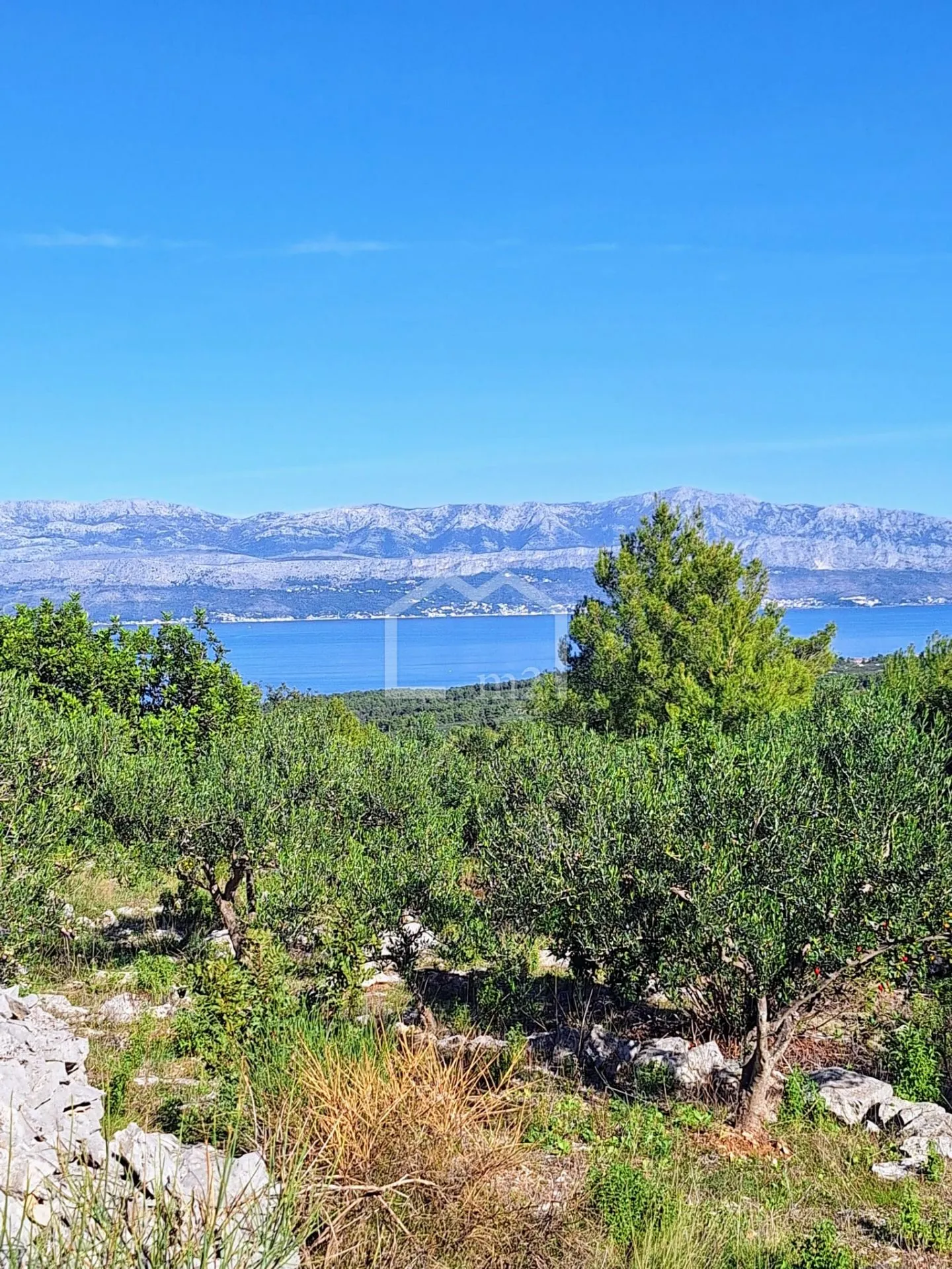 Maslinik, Mirca,brač - Mirca, Supetar