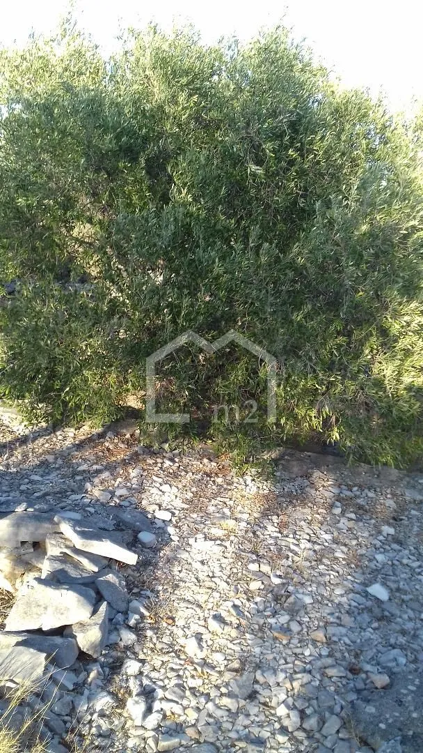 poljoprivredno s 2 kućice - slika 8