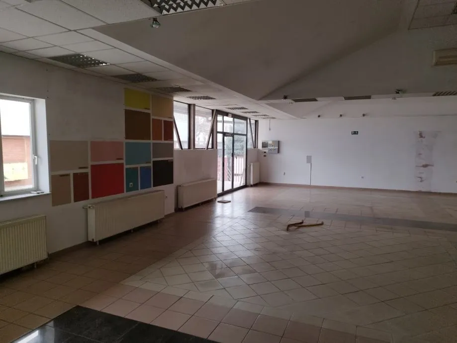 Poslovni prostor: Osijek, ind. zona, uslužna djelatnost, 580 m2