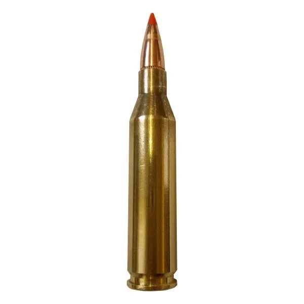Karabinsko streljivo FIOCCHI .243 Win EPN 6,2g / 95gr - Poreč