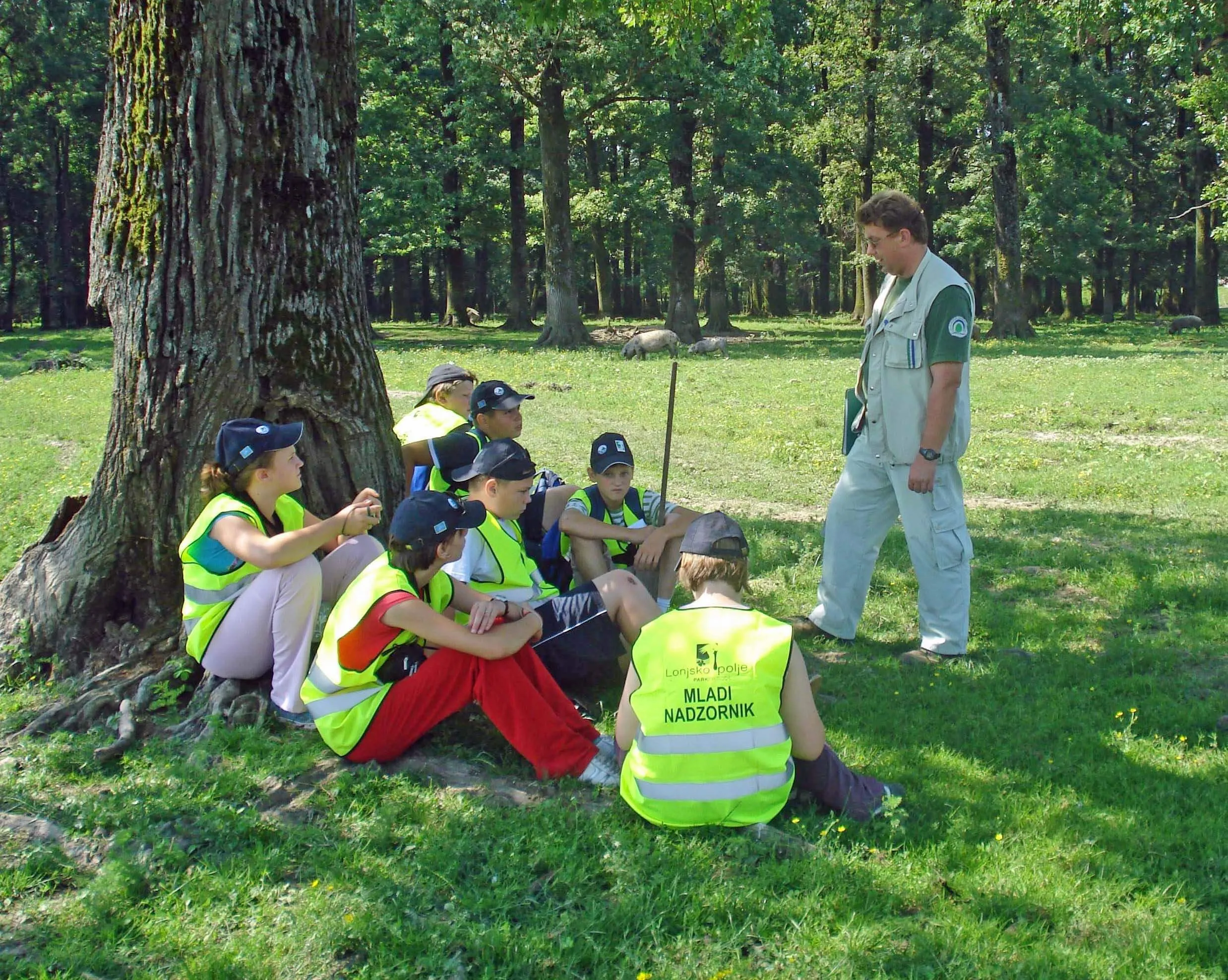 lonjsko polje - program „ junior ranger “ - slika 3