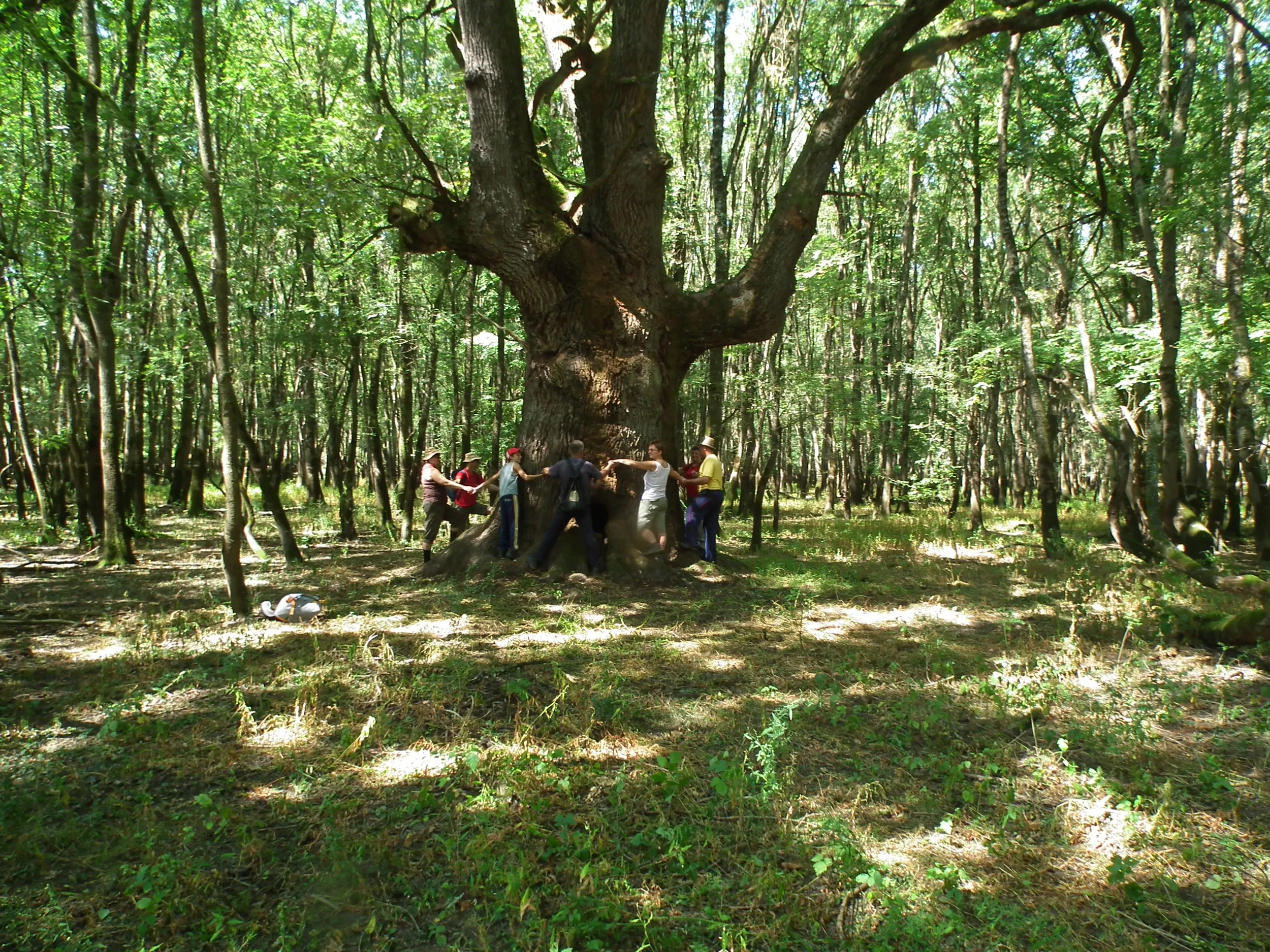lonjsko polje - team building - slika 7