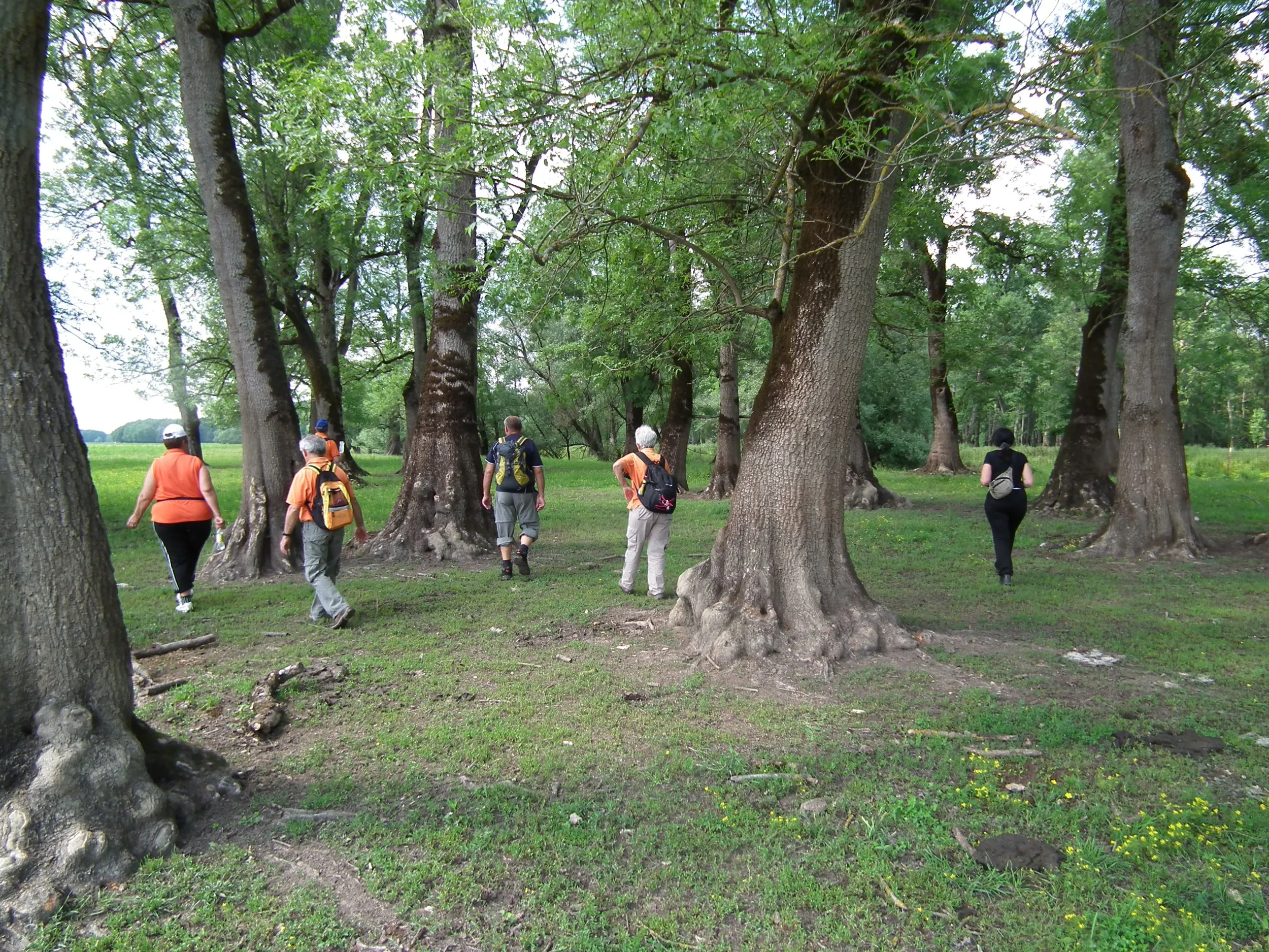 lonjsko polje - team building - slika 5