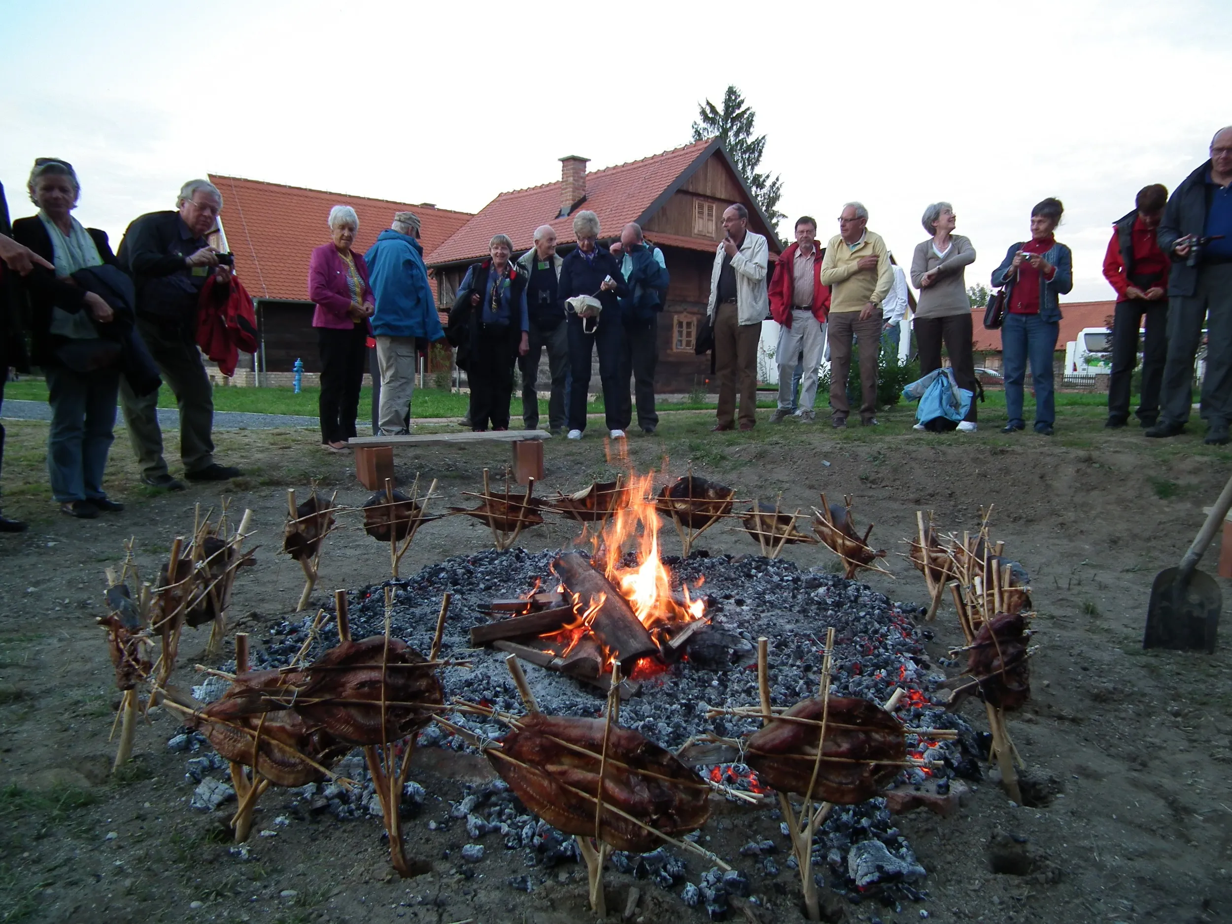 lonjsko polje - team building - slika 4