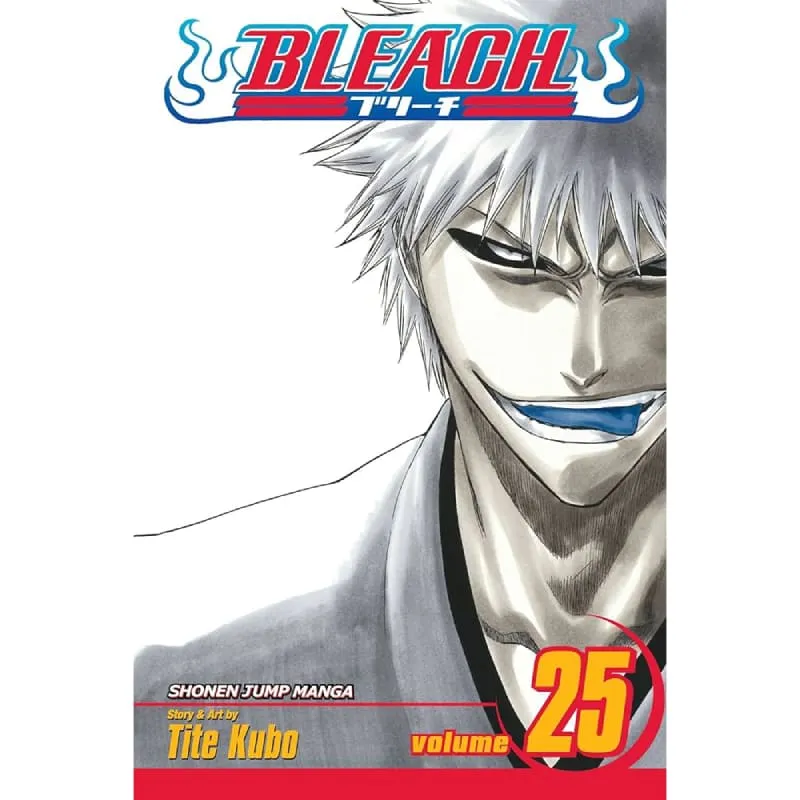 Bleach vol. 25 - Zaprešić