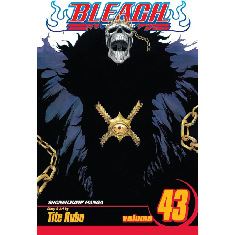bleach vol. 43 - slika 1