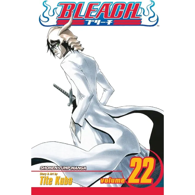 bleach vol. 22 - slika 1