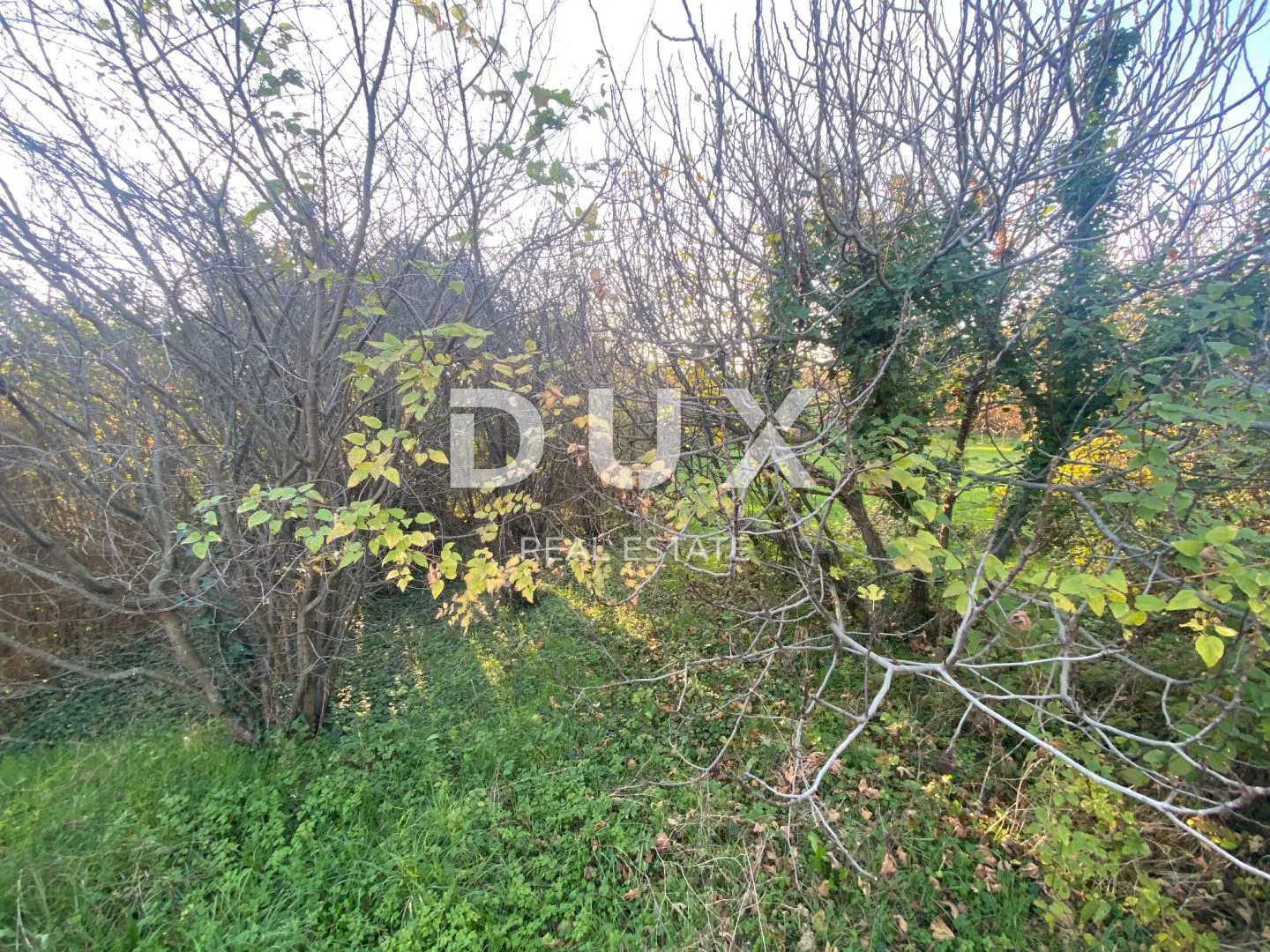 rijeka, drenova - samostojeća kuća + dvije dvorišne zgrade + dvorište! prilika! - slika 12