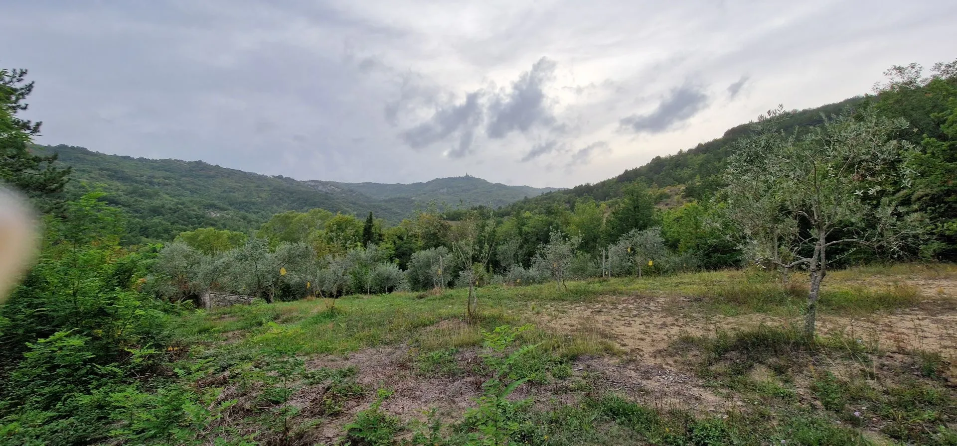istra, gračišće - kameni objekti s prostranim zemljištem na osami - slika 4