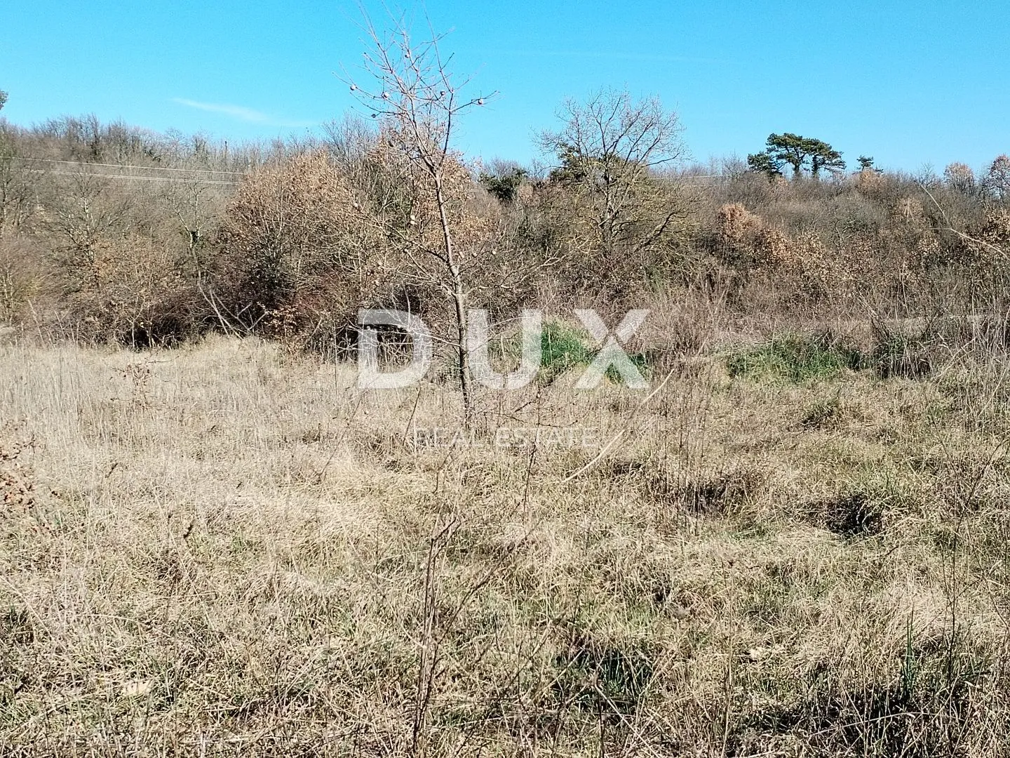 istra, svetvinčenat - građevinsko zemljište na prodaju - slika 3