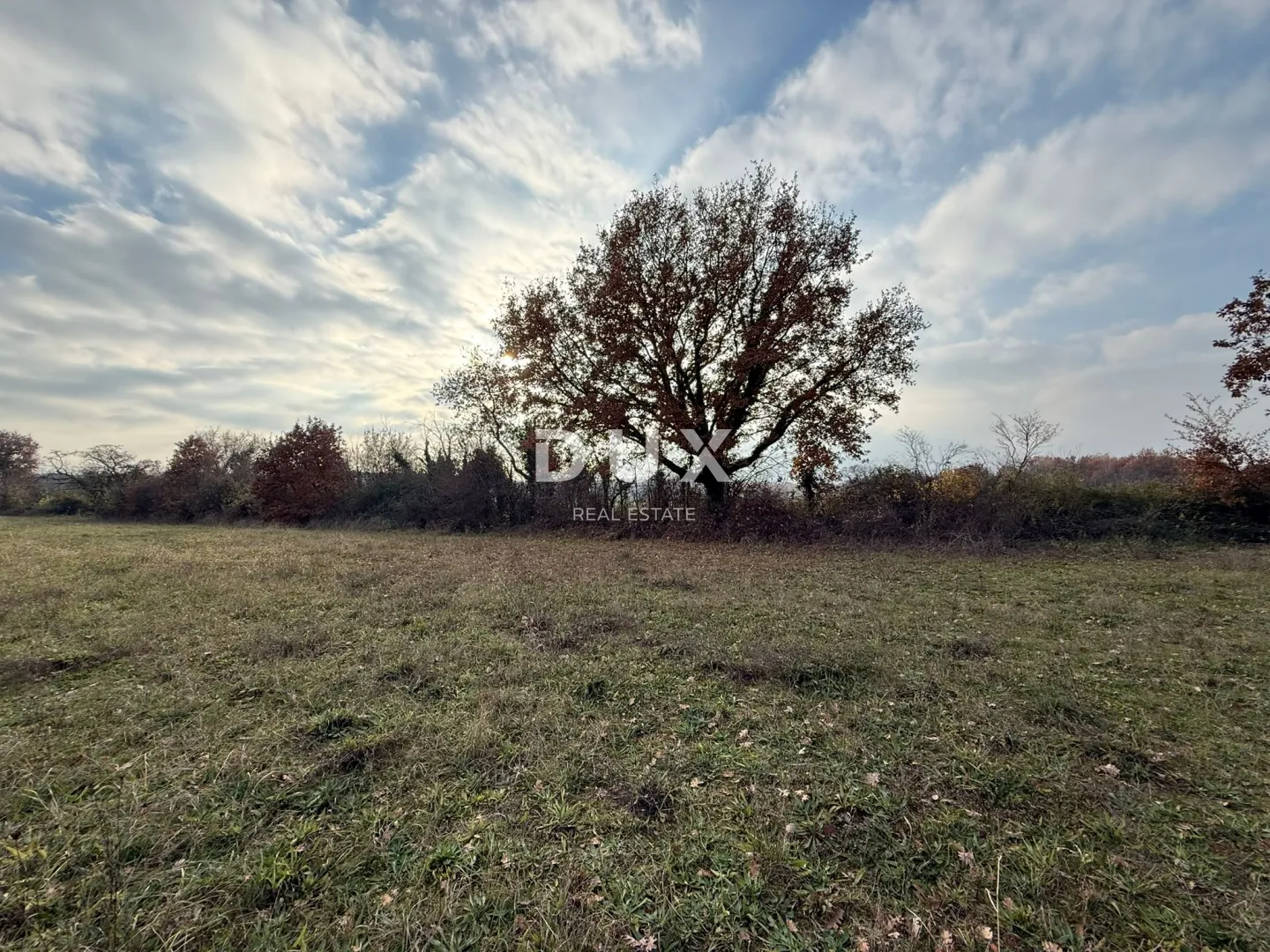 istra,poreč - prostrano poljoprivredno zemljište - slika 4