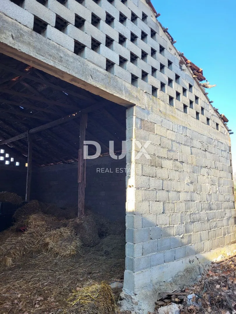 biograd, raštane gornje- kamena kuća na parceli od 2300 m2 - slika 5