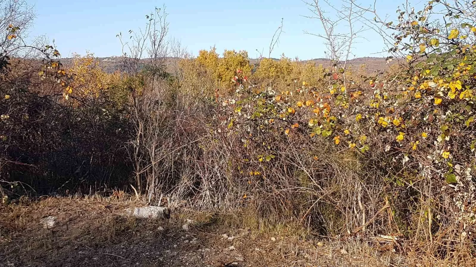 istra, vižinada - prostrano građevinsko zemljište na osami s panoramskim pogledom - slika 28
