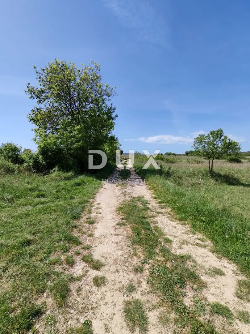 zadar, briševo - prekrasno poljoprivredno zemljište s pogledom na velebit! 2148m2! - slika 4
