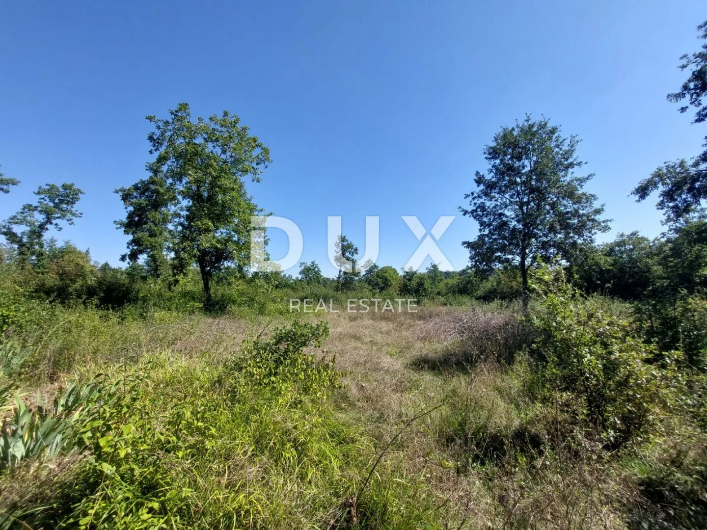 istra, barban - građevinsko zemljište od 784 m2 - slika 2