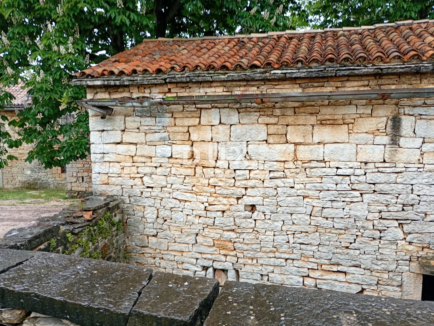 pazin,beram - gospodarska zgrada 58m2 sa okućnicom - slika 6