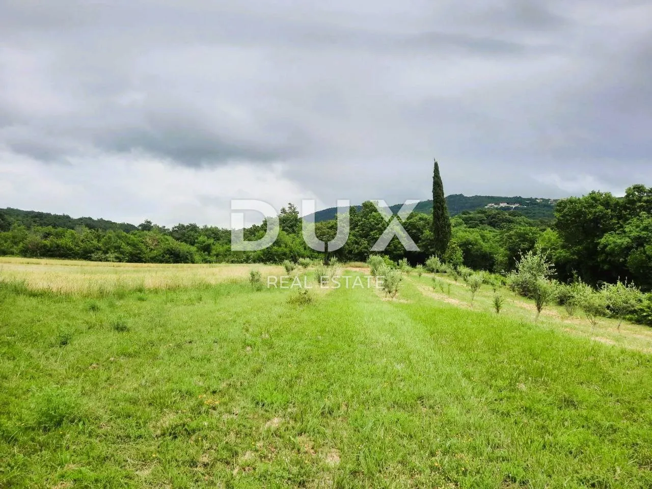 istra, labin - prostrano poljoprivredno zemljište 13 688m2 u blizini mora - slika 8