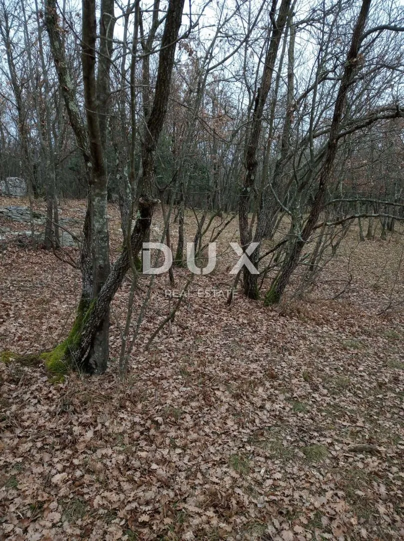 ISTRA, KRŠAN, Poljoprivredno zemljište sa šumom