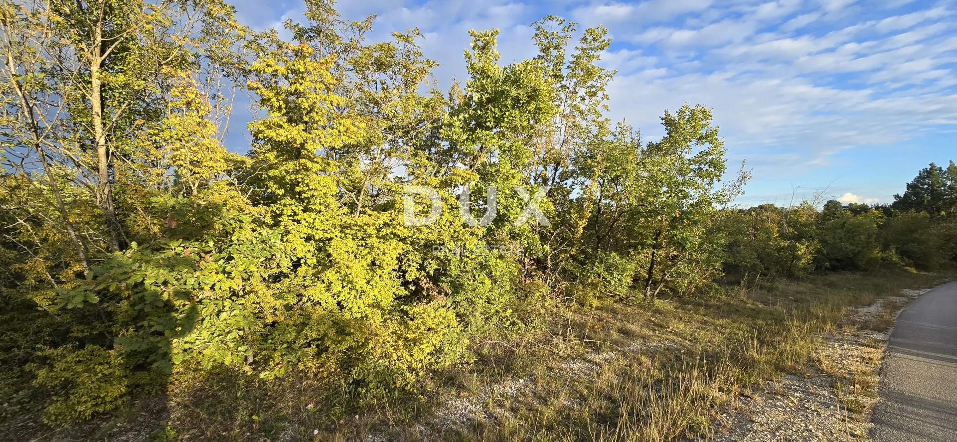 istra, gračišće - poljoprivredno zemljište s asfaltiranim prilazom - slika 6