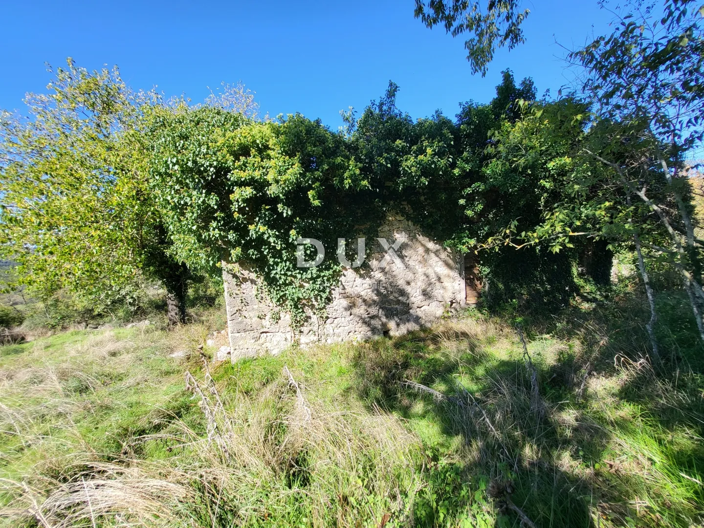 lupoglav, boljunsko polje, kamene kuće, 166 m2 - slika 8