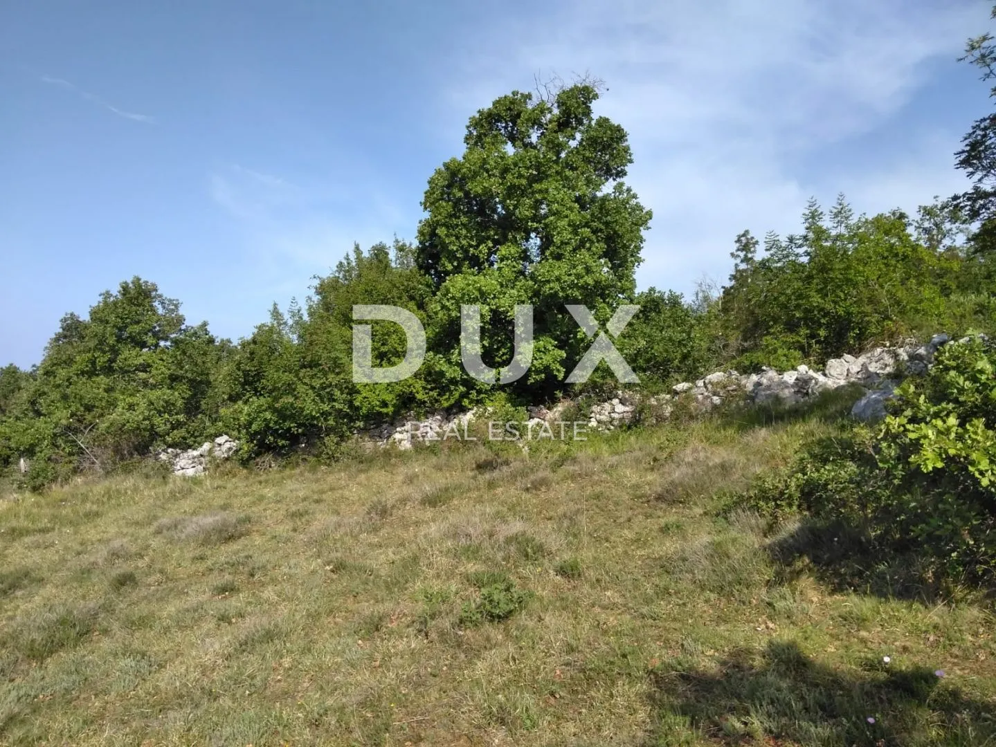 istra, višnjan - poljoprivredno zemljište - slika 4