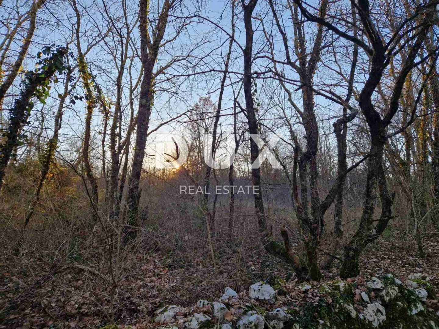 istra, labin - hrastova šuma za siječu, 11.629m2 prilika - slika 14