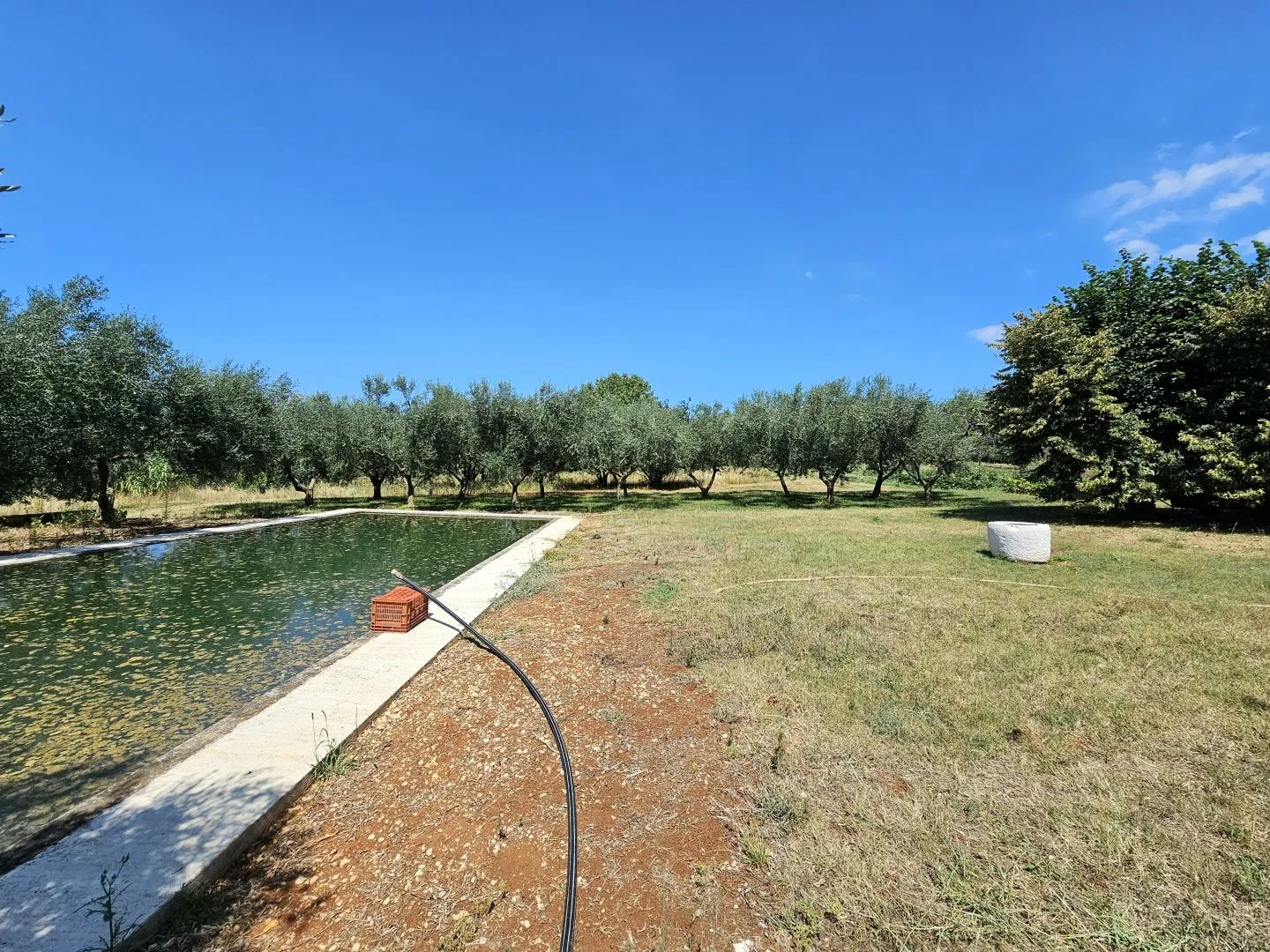 istra, umag - neponovljiva privatna stancija smještena u prirodnoj oazi - slika 69
