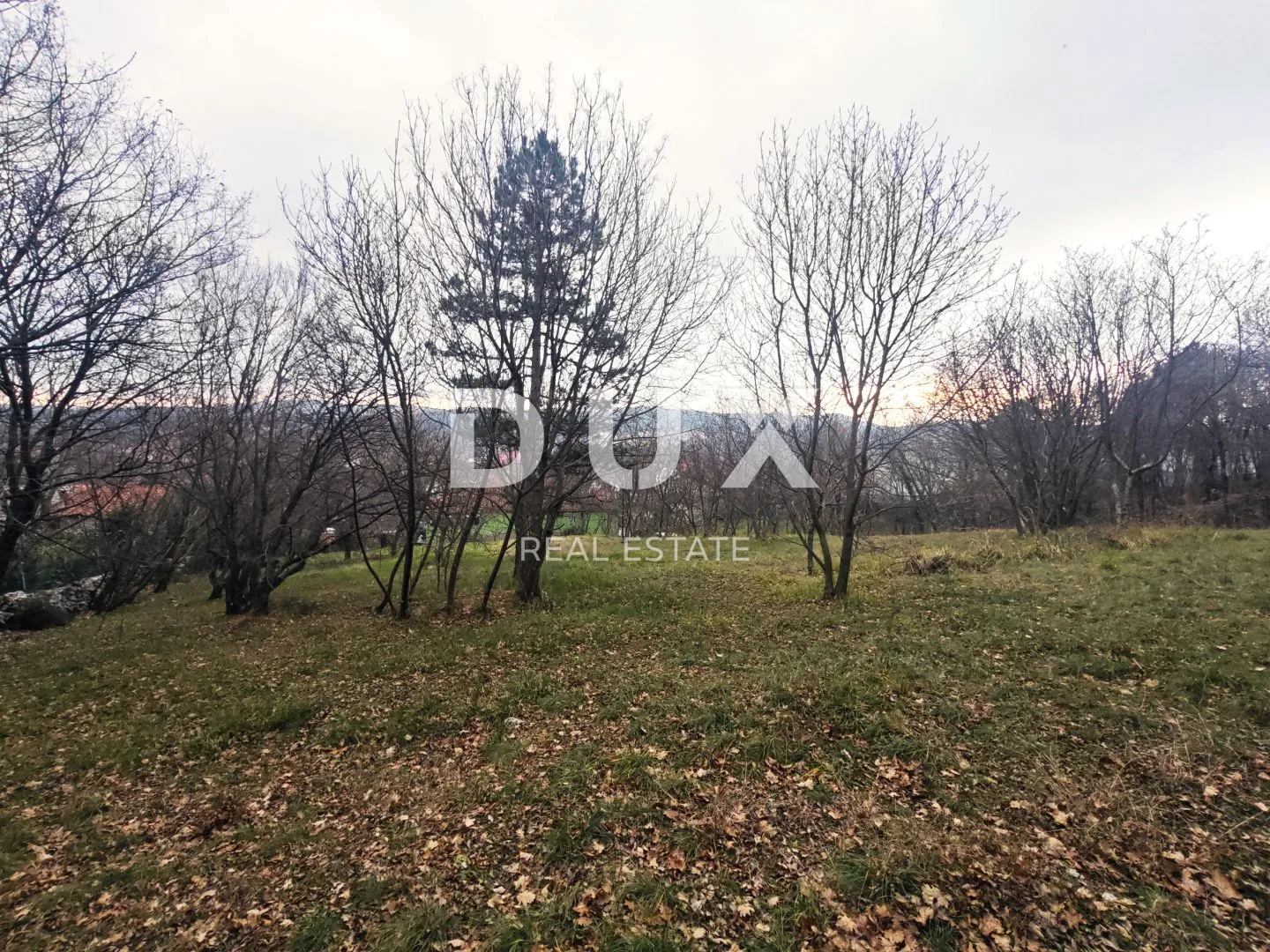 kvarner, čavle, samostojeća kuća, 280 m2, 3250 m2 građevinskog zemljišta - slika 4