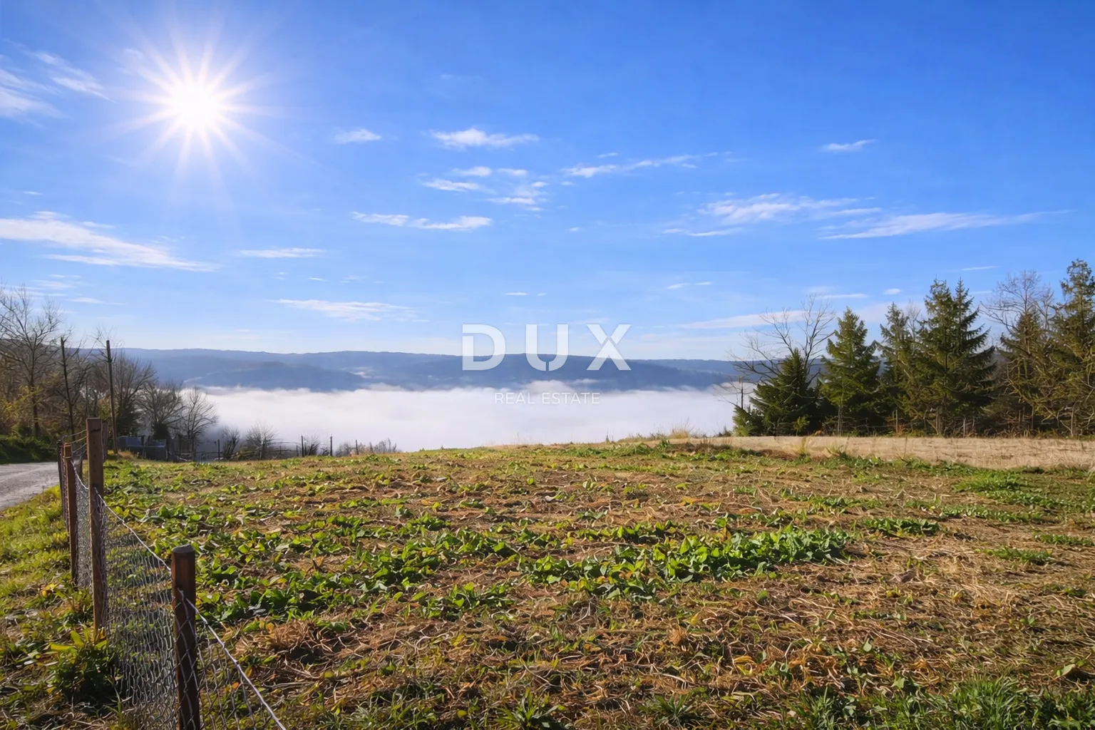 istra, motovun - predivno građevinsko zemljište - slika 2