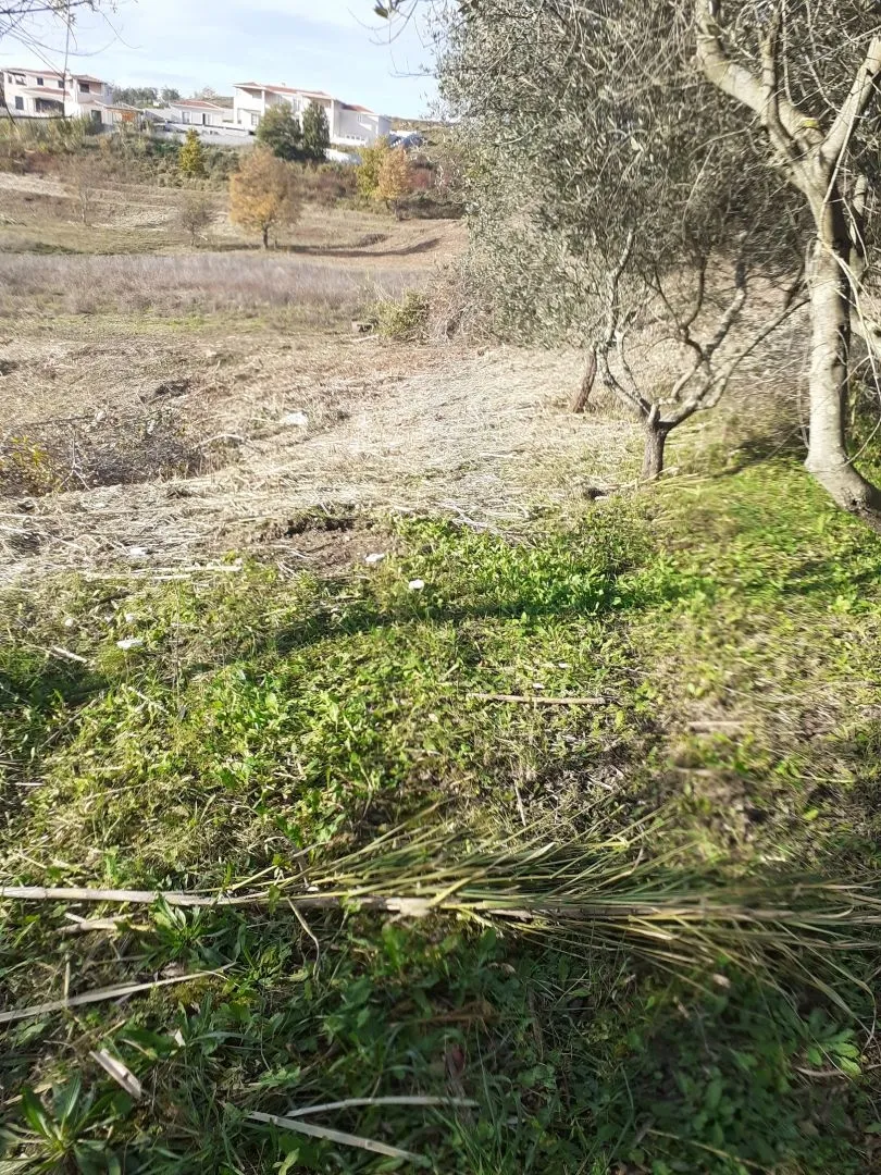 istra, vižinada - građevinsko zemljište prekrasnog pogleda - slika 8