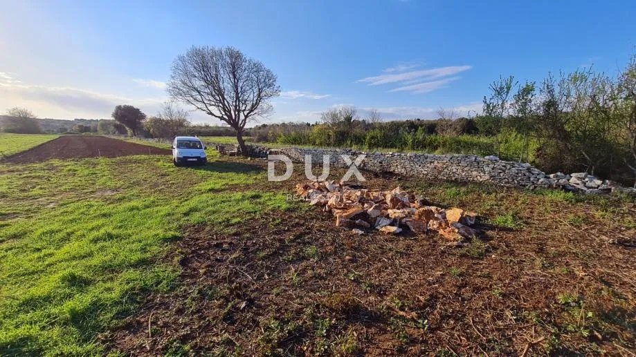 istra, pula - poljoprivredno zemljište 3700 m2 - slika 6