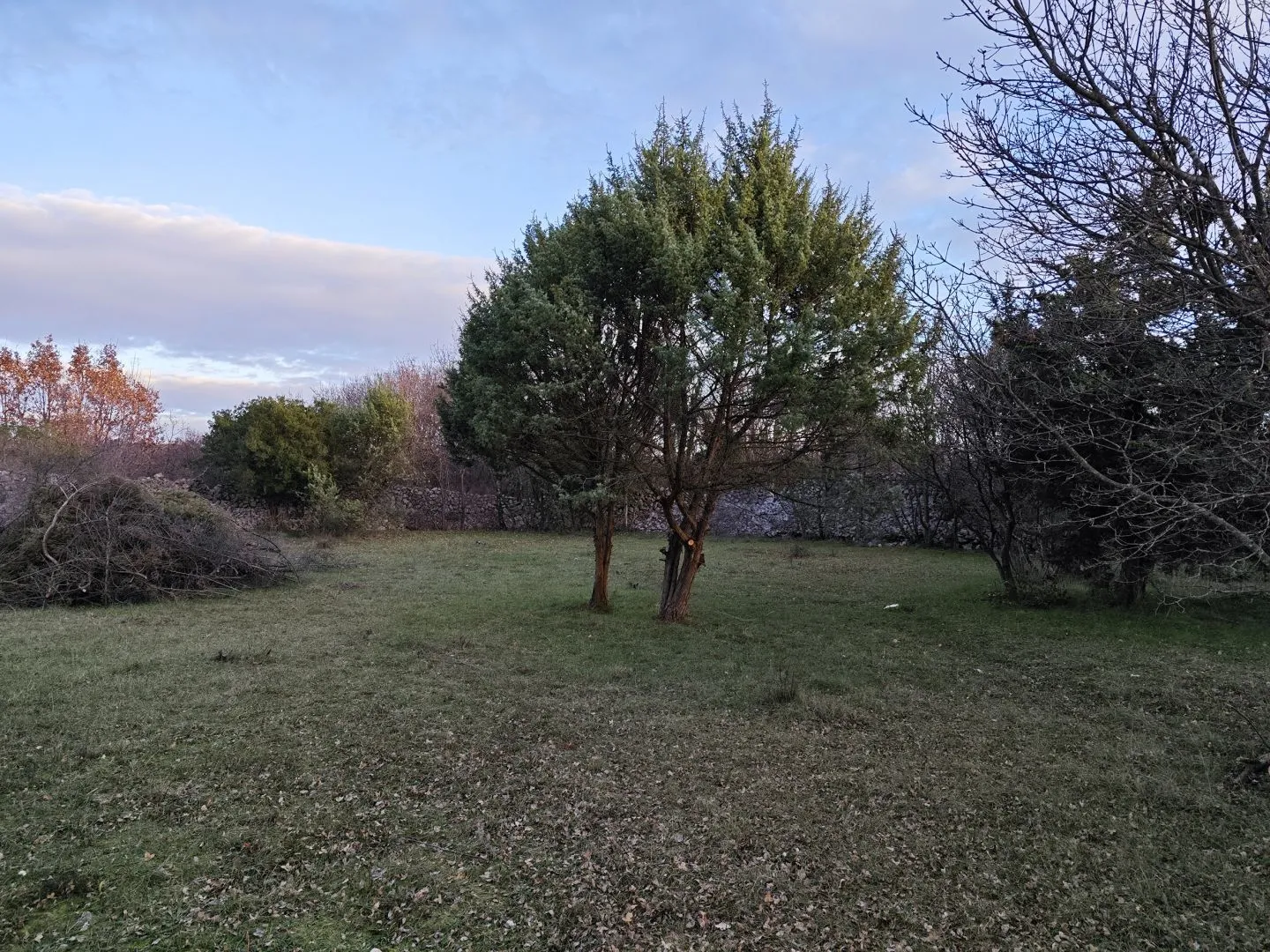 otok krk, šotovento - poljoprivredno zemljište - slika 2