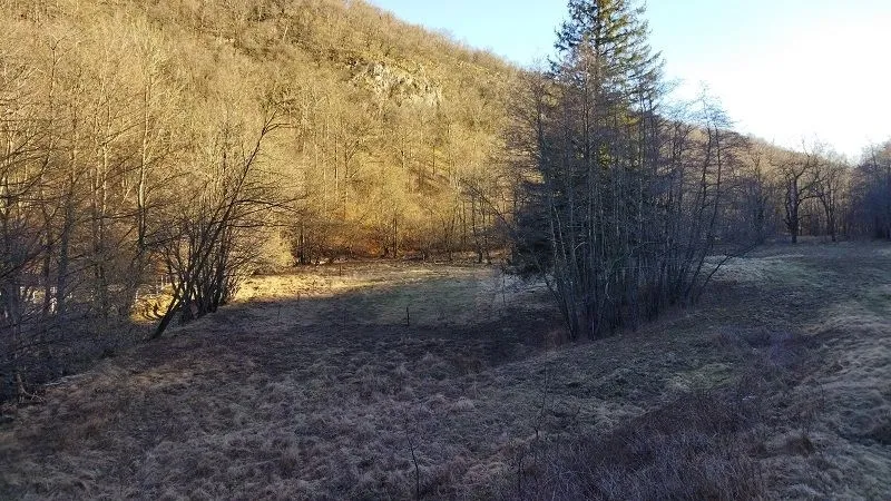 klana - zemljište u prirodi!!! 9.011 m2 - slika 6