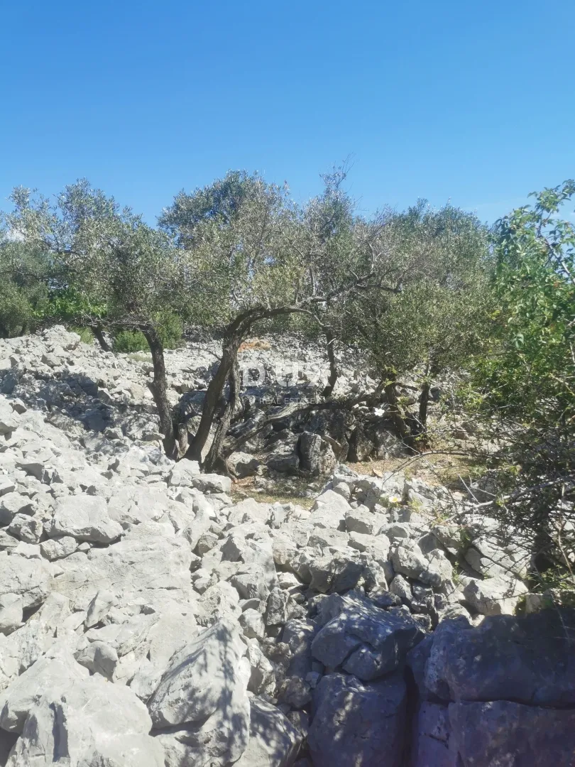 otok krk, grad krk - maslinik na atraktivnoj lokaciji - slika 9