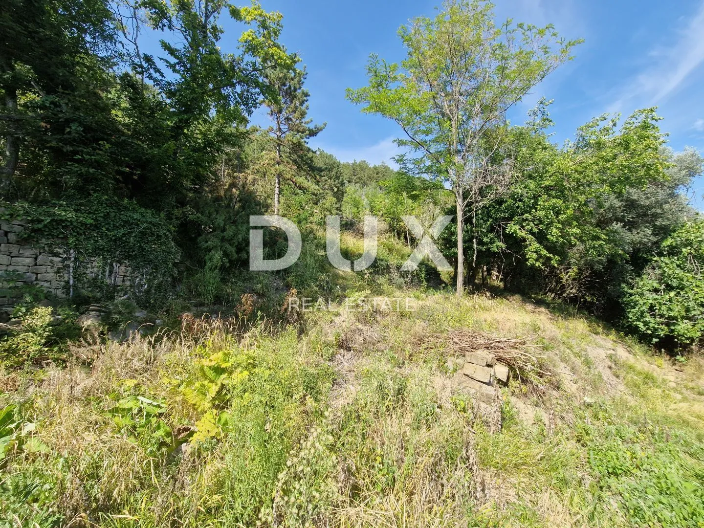 istra, oprtalj - kamena starina s panoramskim pogledom na zelenilo - slika 24