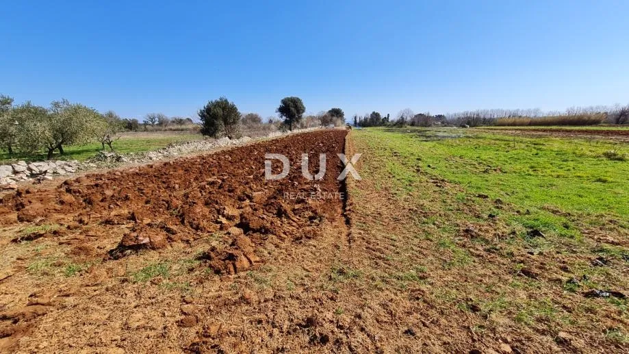 istra, pula - poljoprivredno zemljište 3700 m2 - slika 2