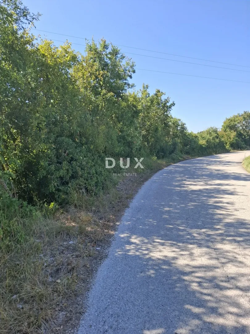 istra, šajini, poljoprivredno zemljište, 5021 m2 - slika 4