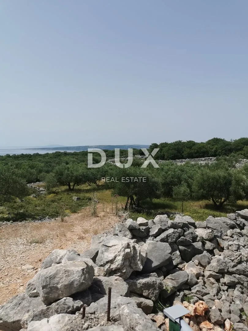 otok krk, grad krk - maslinik sa gospodarskim objektom - slika 4